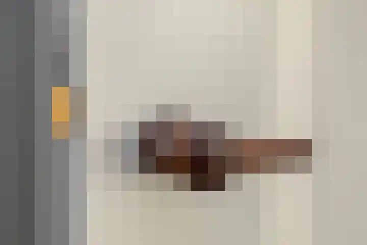 Dishoekseweg 4 Koudekerke thumbnail 12