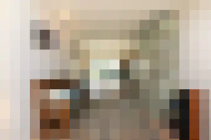 Dishoekseweg 4 Koudekerke thumbnail 13