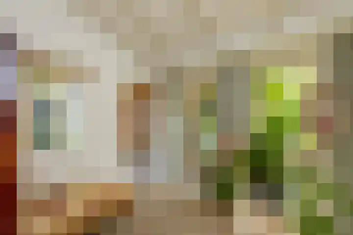 Dishoekseweg 4 Koudekerke thumbnail 19