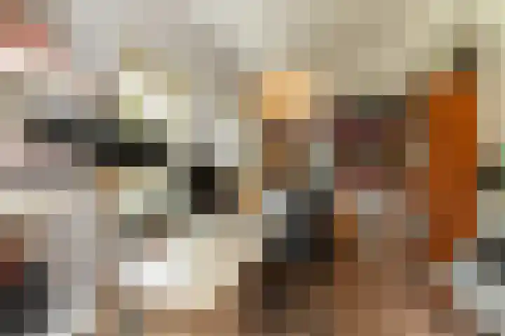 Dishoekseweg 4 Koudekerke thumbnail 20