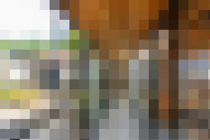 Dishoekseweg 4 Koudekerke thumbnail 24