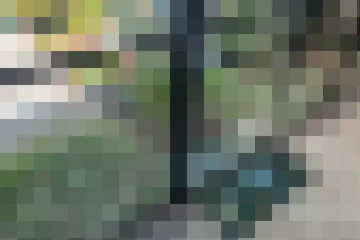 Dishoekseweg 4 Koudekerke thumbnail 25