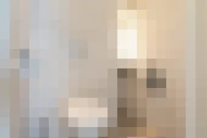Dishoekseweg 4 Koudekerke thumbnail 27