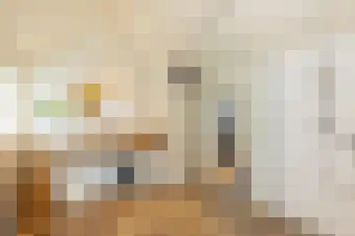 Dishoekseweg 4 Koudekerke thumbnail 29