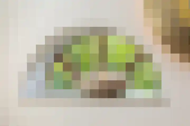 Dishoekseweg 4 Koudekerke thumbnail 30