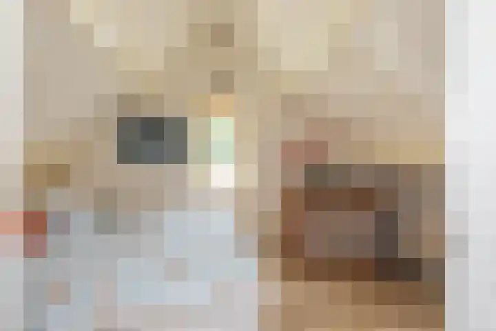 Dishoekseweg 4 Koudekerke thumbnail 32
