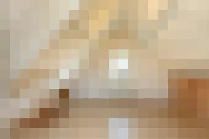 Dishoekseweg 4 Koudekerke thumbnail 33