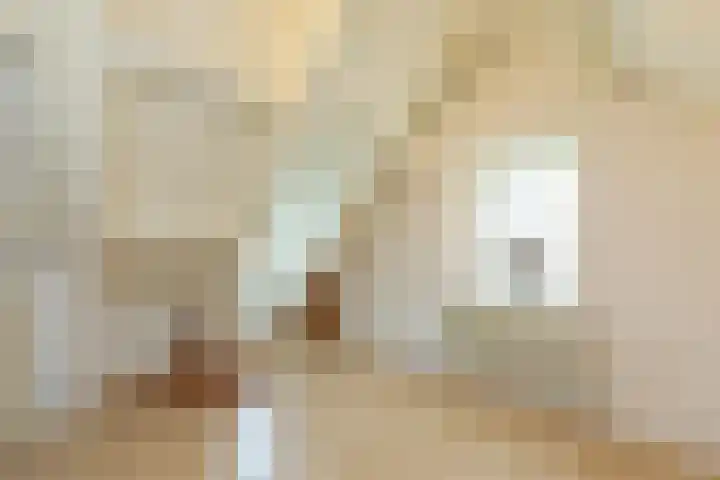 Dishoekseweg 4 Koudekerke thumbnail 34