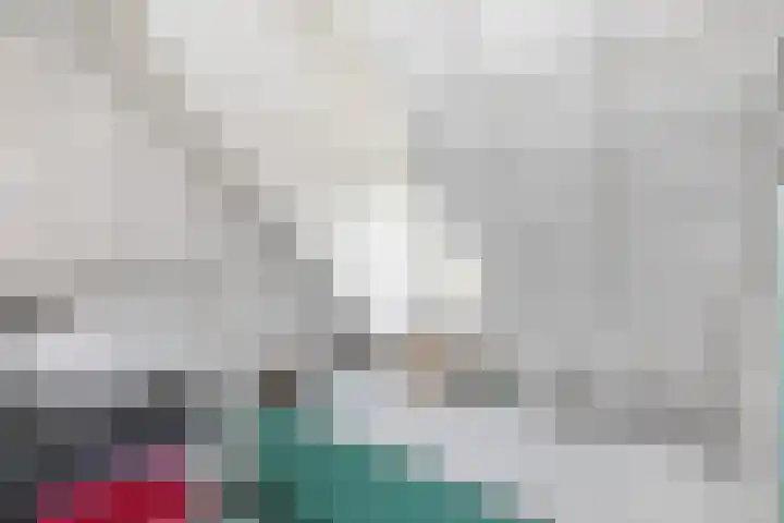 Dishoekseweg 4 Koudekerke thumbnail 35