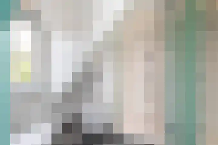 Dishoekseweg 4 Koudekerke thumbnail 36