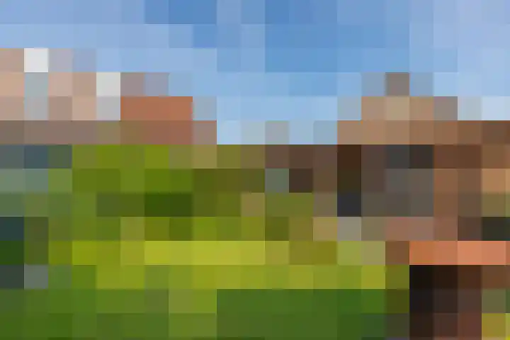 Dishoekseweg 4 Koudekerke thumbnail 38