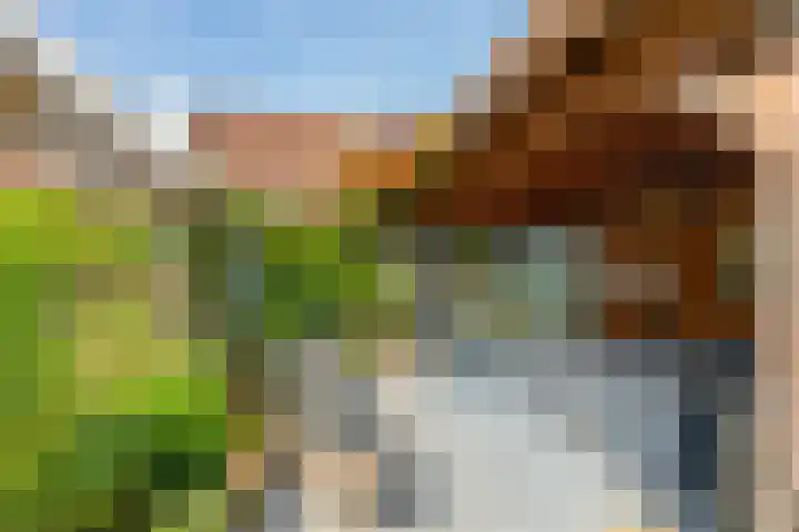 Dishoekseweg 4 Koudekerke thumbnail 39