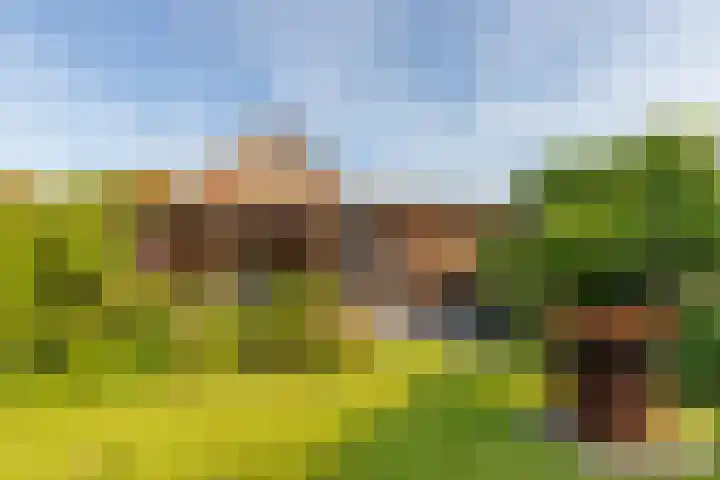 Dishoekseweg 4 Koudekerke thumbnail 40