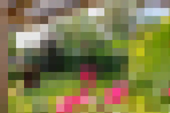 Dishoekseweg 4 Koudekerke thumbnail 41