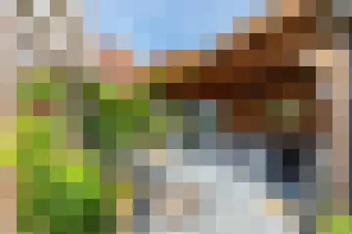 Dishoekseweg 4 Koudekerke thumbnail 42