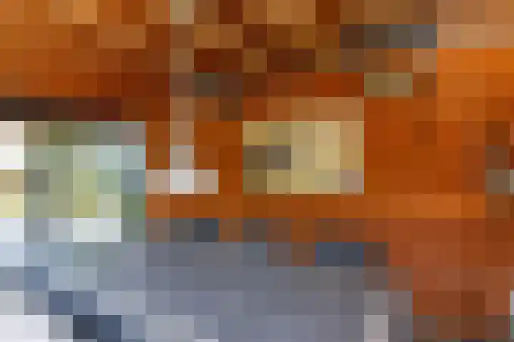 Dishoekseweg 4 Koudekerke thumbnail 43