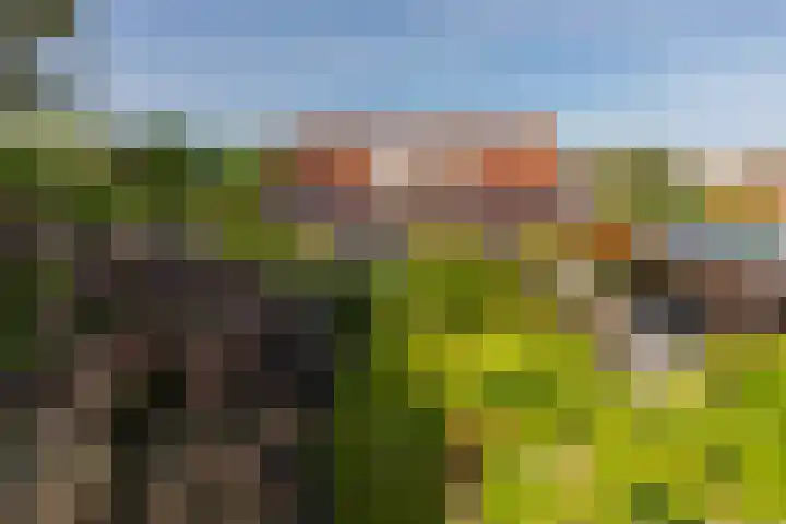 Dishoekseweg 4 Koudekerke thumbnail 44