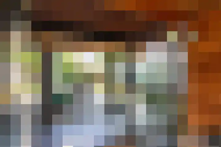 Dishoekseweg 4 Koudekerke thumbnail 45