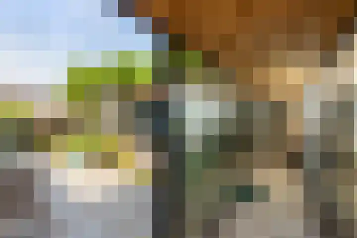 Dishoekseweg 4 Koudekerke thumbnail 46