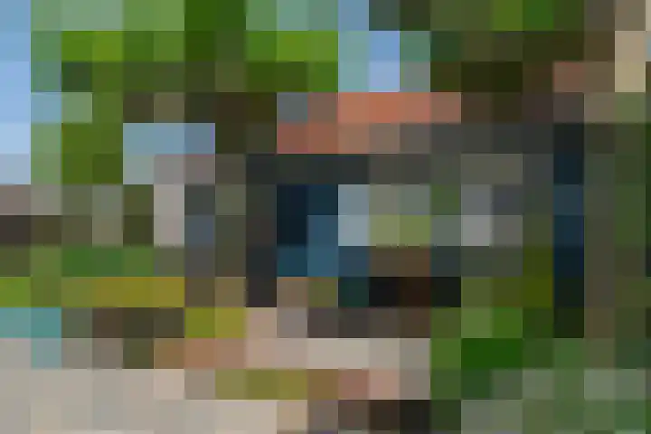Dishoekseweg 4 Koudekerke thumbnail 47