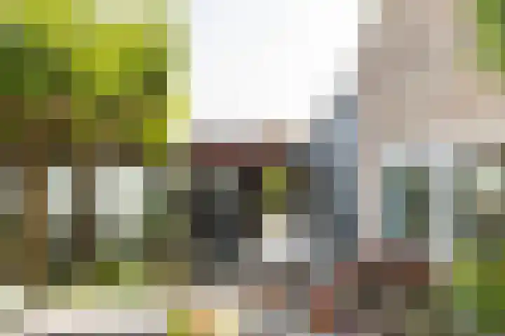 Dishoekseweg 4 Koudekerke thumbnail 48