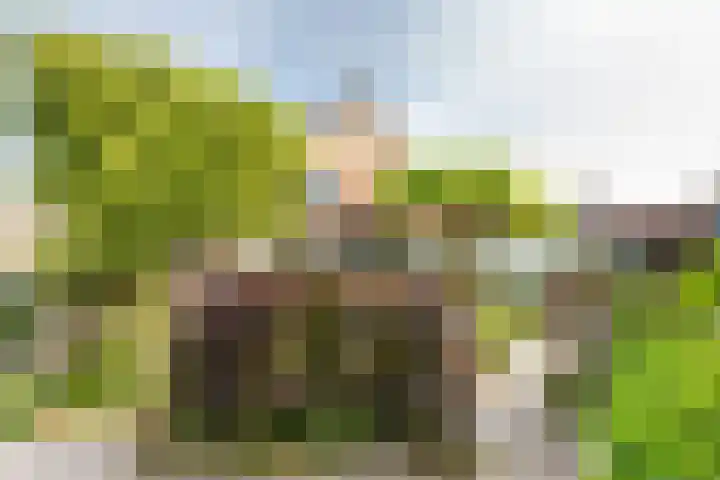 Dishoekseweg 4 Koudekerke thumbnail 49