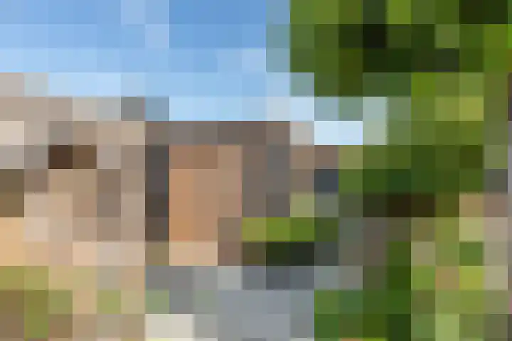 Dishoekseweg 4 Koudekerke thumbnail 51