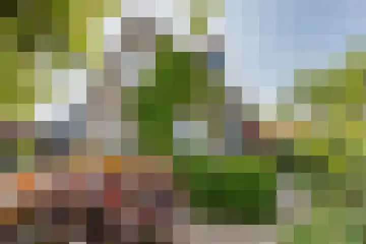 Dishoekseweg 4 Koudekerke thumbnail 52
