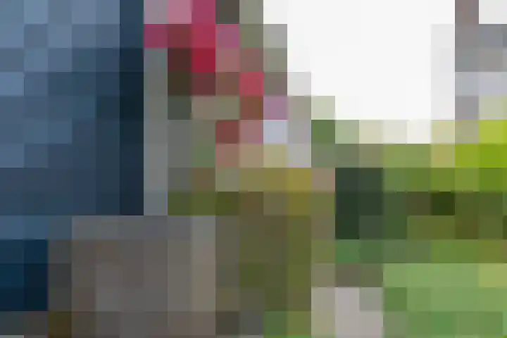 Dishoekseweg 4 Koudekerke thumbnail 53