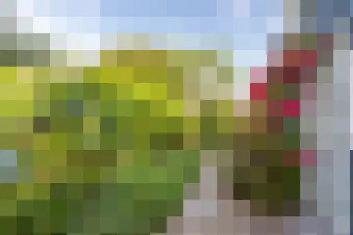 Dishoekseweg 4 Koudekerke thumbnail 54
