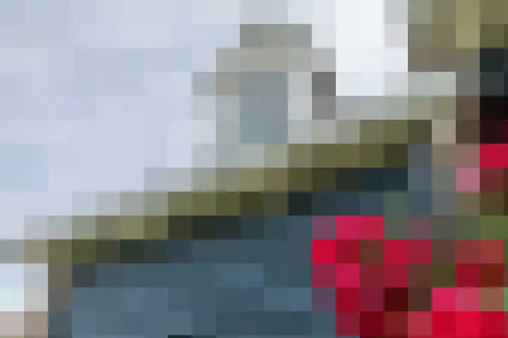 Dishoekseweg 4 Koudekerke thumbnail 55