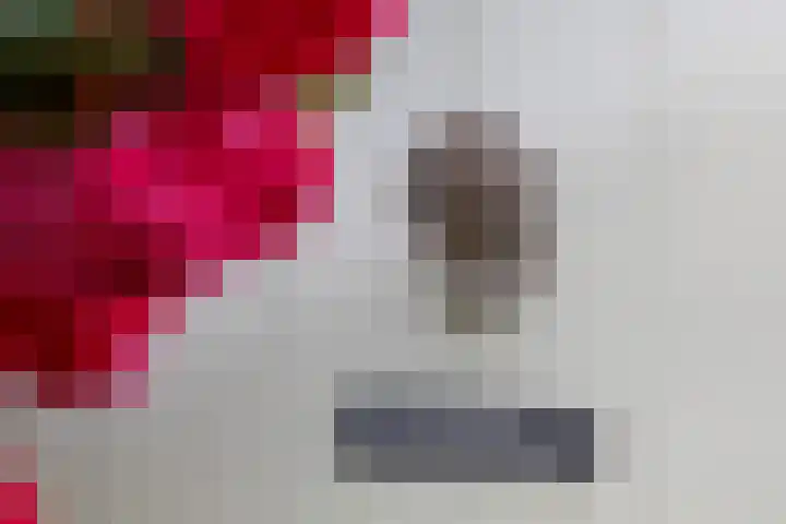 Dishoekseweg 4 Koudekerke thumbnail 56