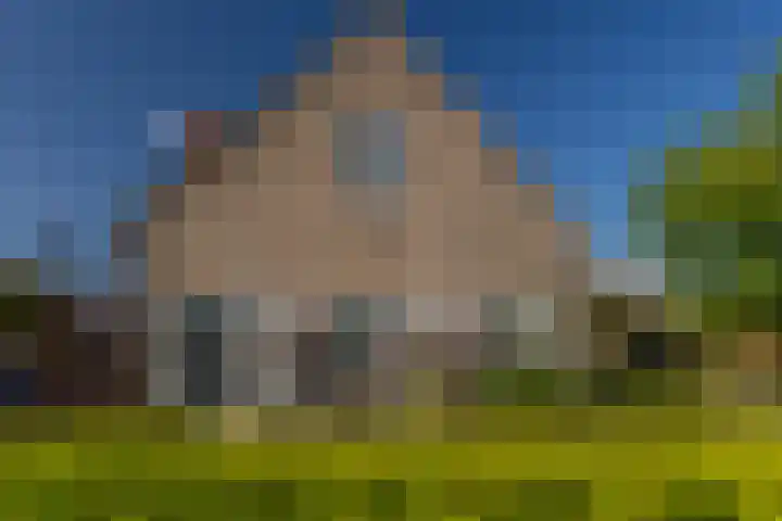 Dishoekseweg 4 Koudekerke thumbnail 57