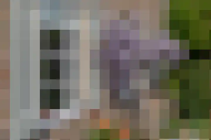 Dishoekseweg 4 Koudekerke thumbnail 58
