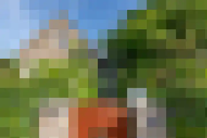 Dishoekseweg 4 Koudekerke thumbnail 59