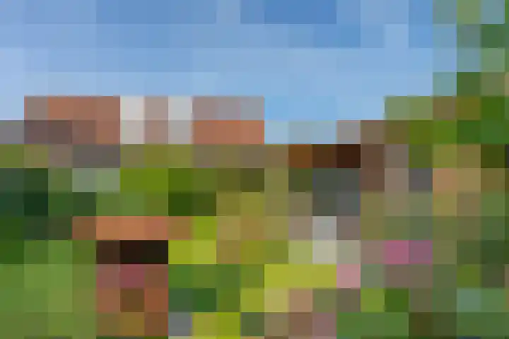 Dishoekseweg 4 Koudekerke thumbnail 7