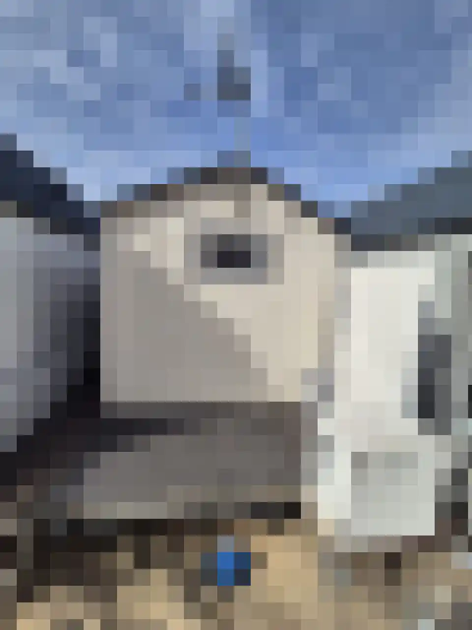 Dishoekseweg 422 Koudekerke thumbnail 7