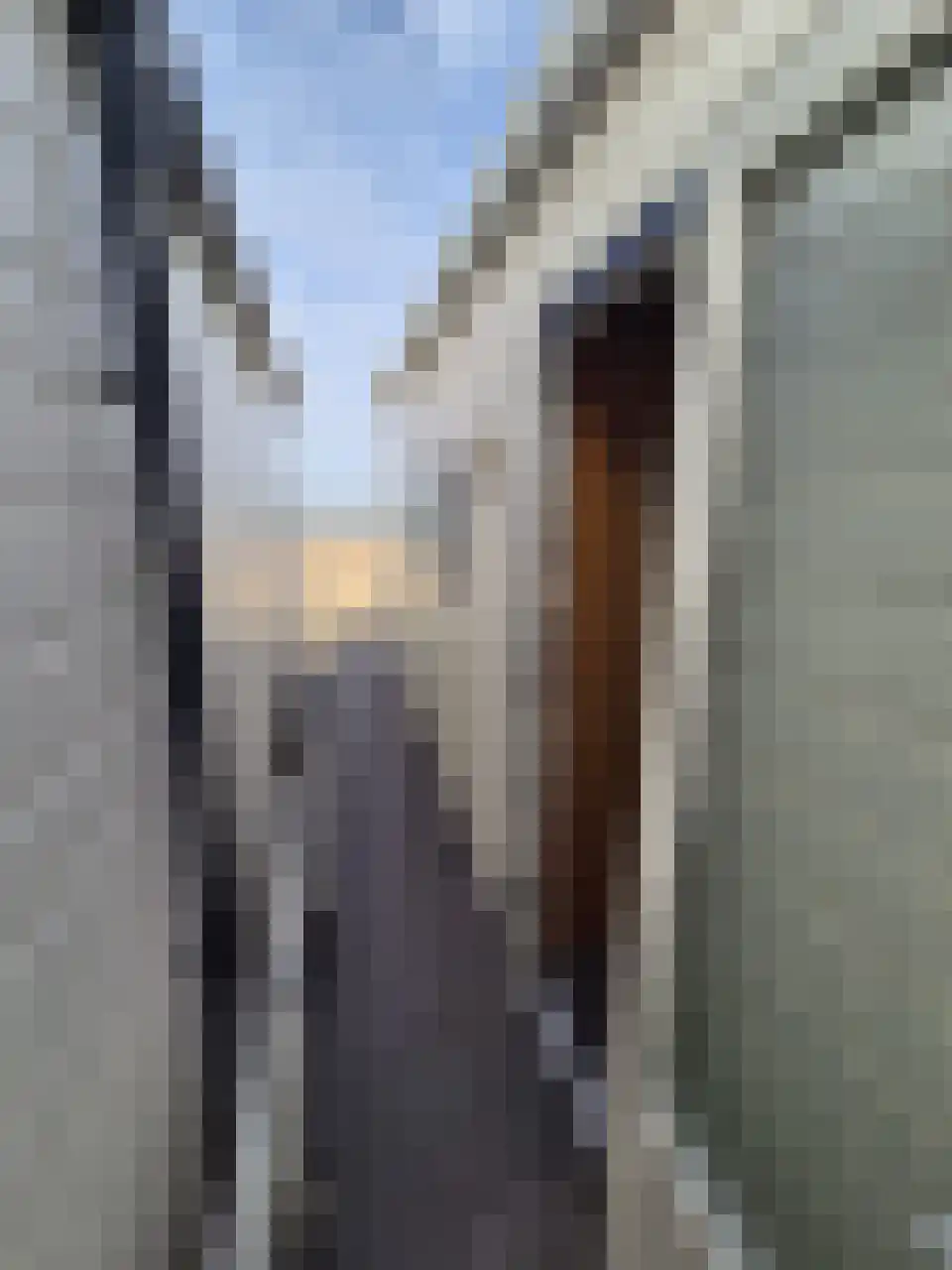 Dishoekseweg 422 Koudekerke thumbnail 9