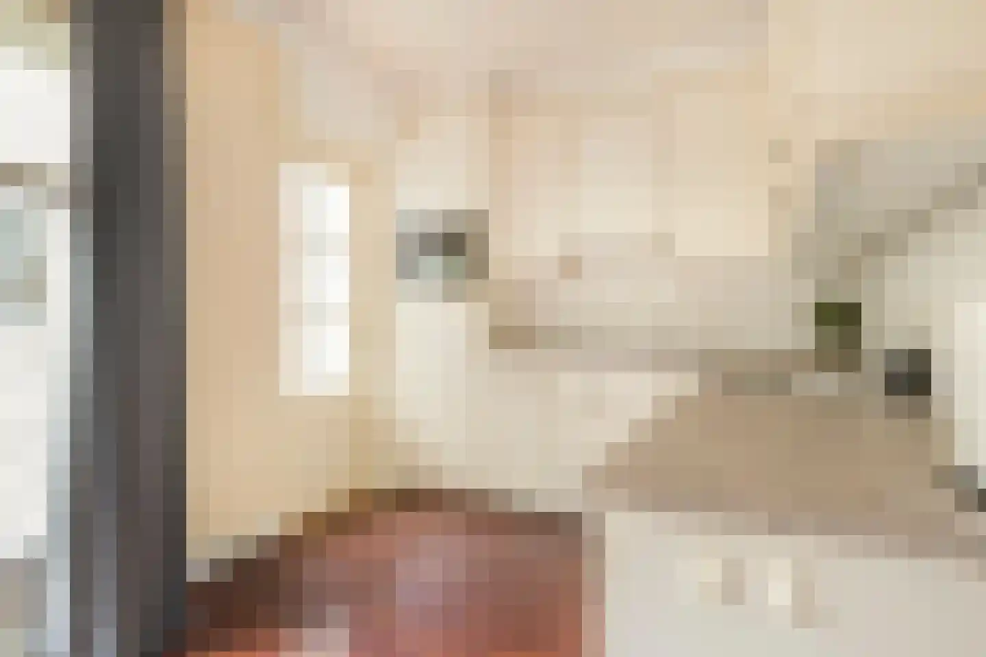 Dissel 10 Veenendaal thumbnail 13