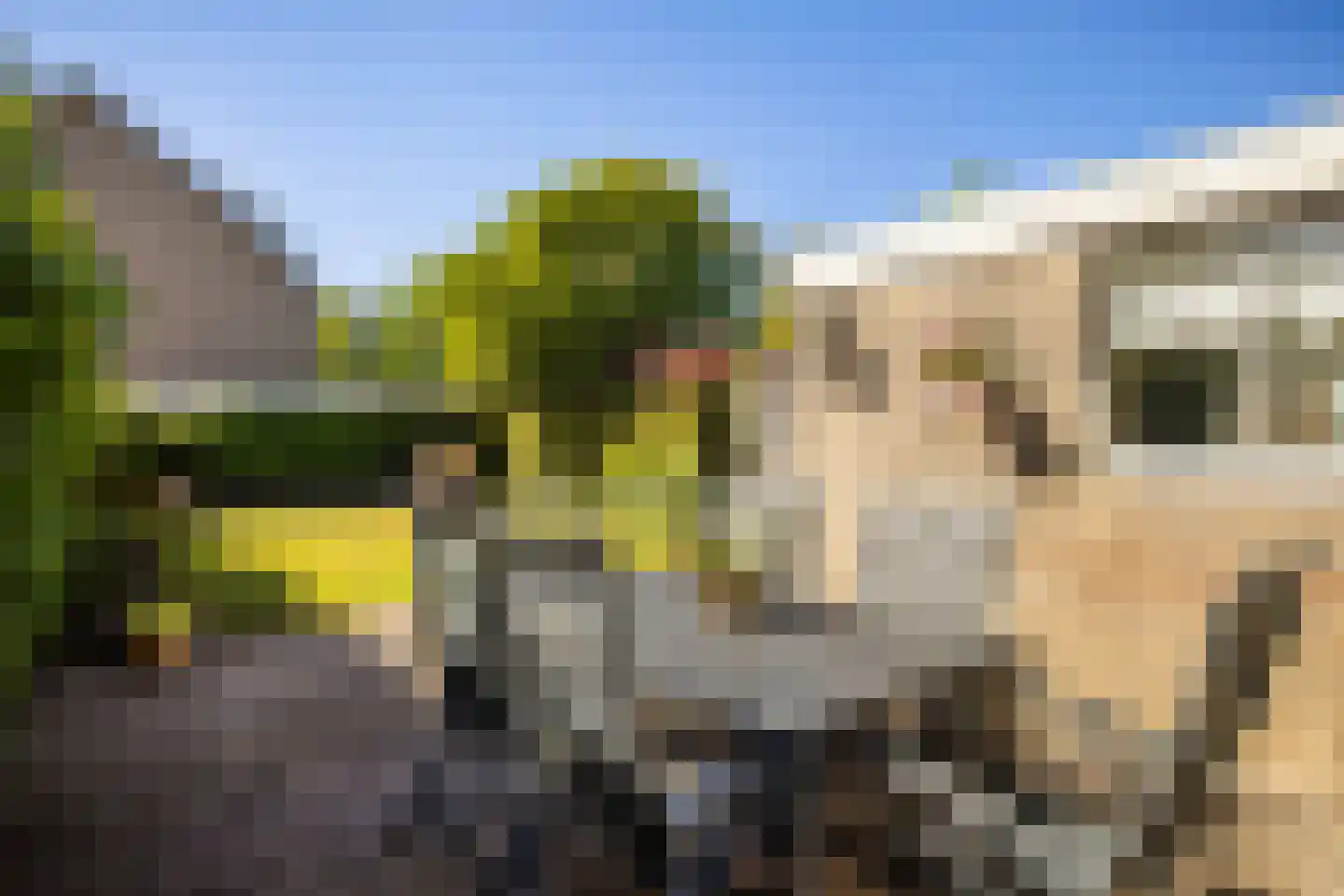 Dissel 10 Veenendaal thumbnail 40