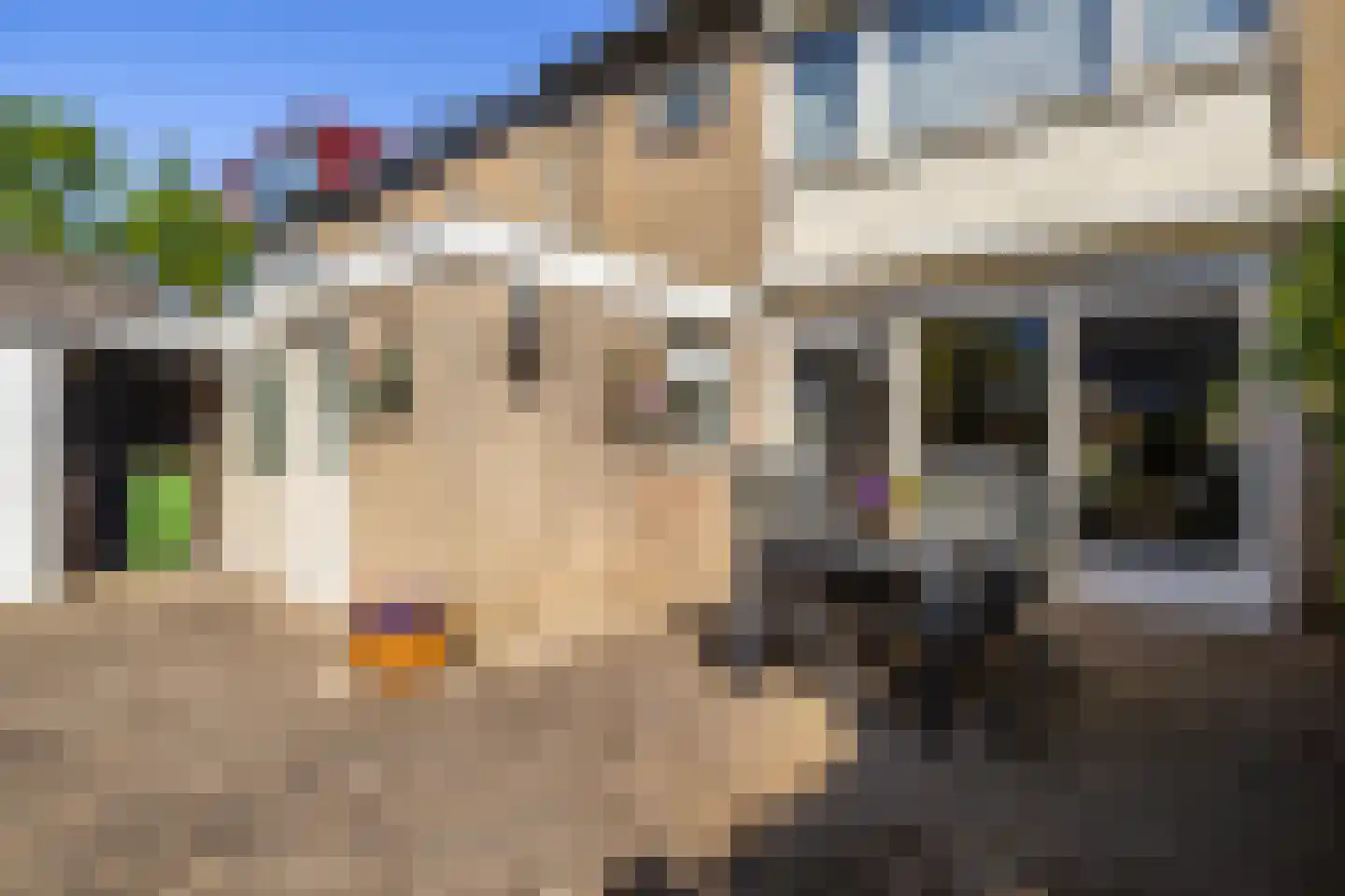 Dissel 10 Veenendaal thumbnail 42