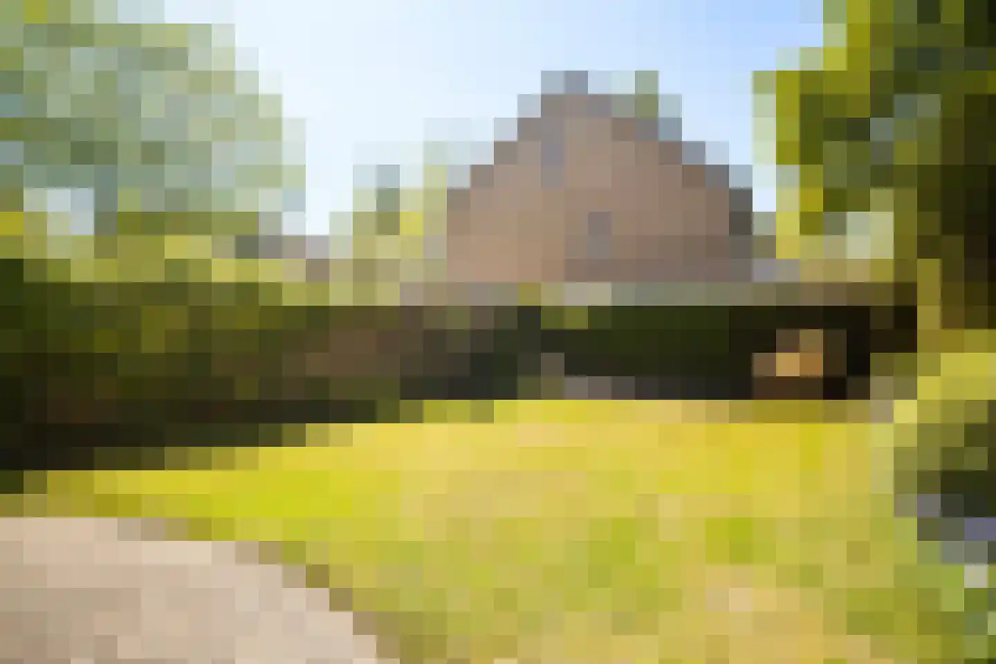 Dissel 10 Veenendaal thumbnail 44