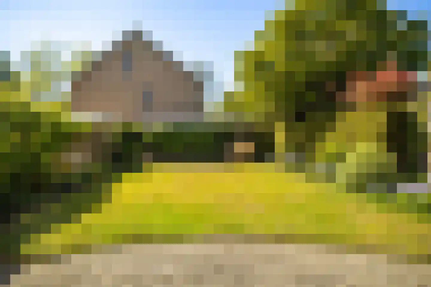 Dissel 10 Veenendaal thumbnail 45