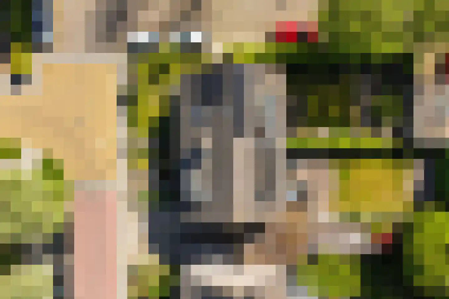 Dissel 10 Veenendaal thumbnail 46