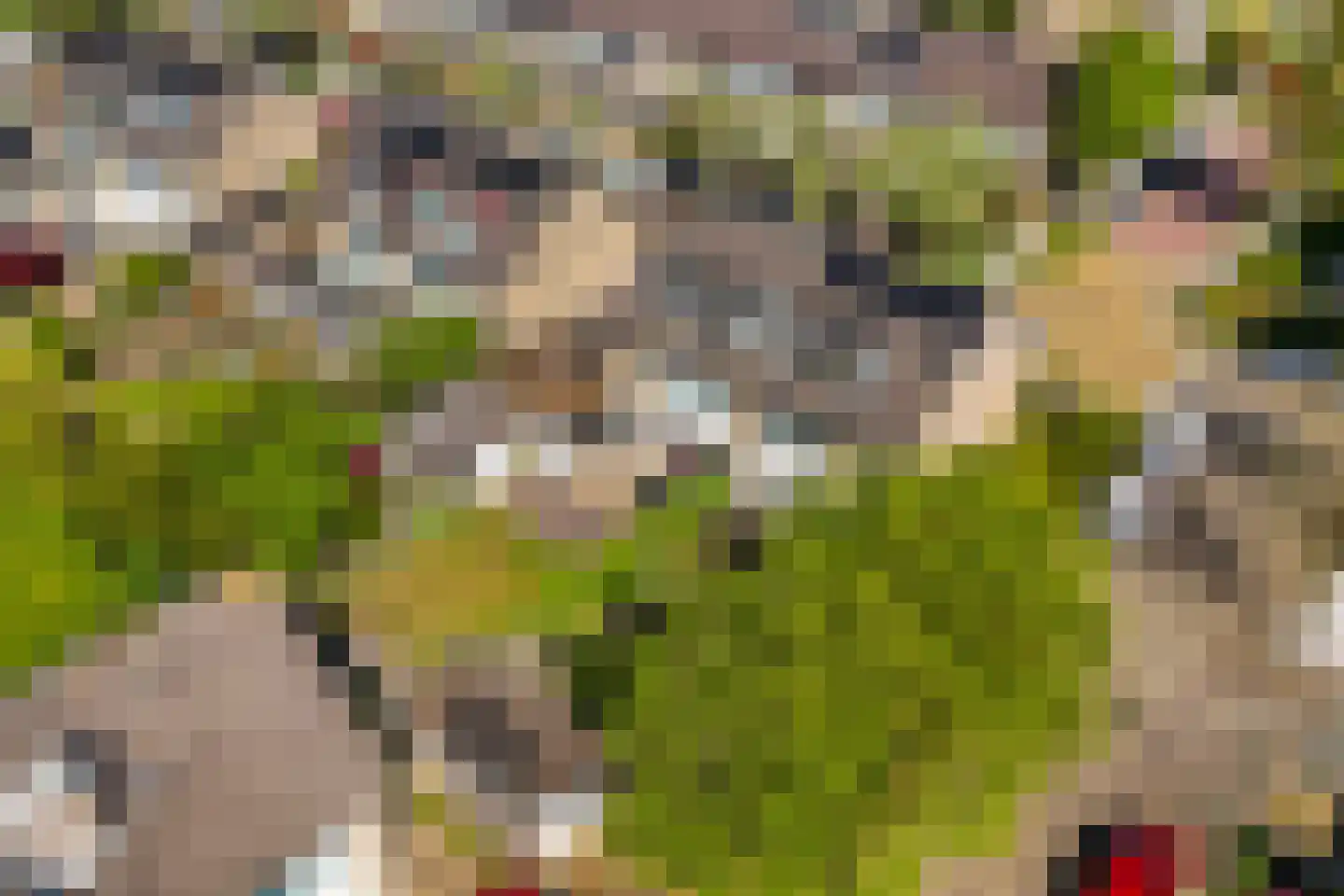 Dissel 10 Veenendaal thumbnail 53