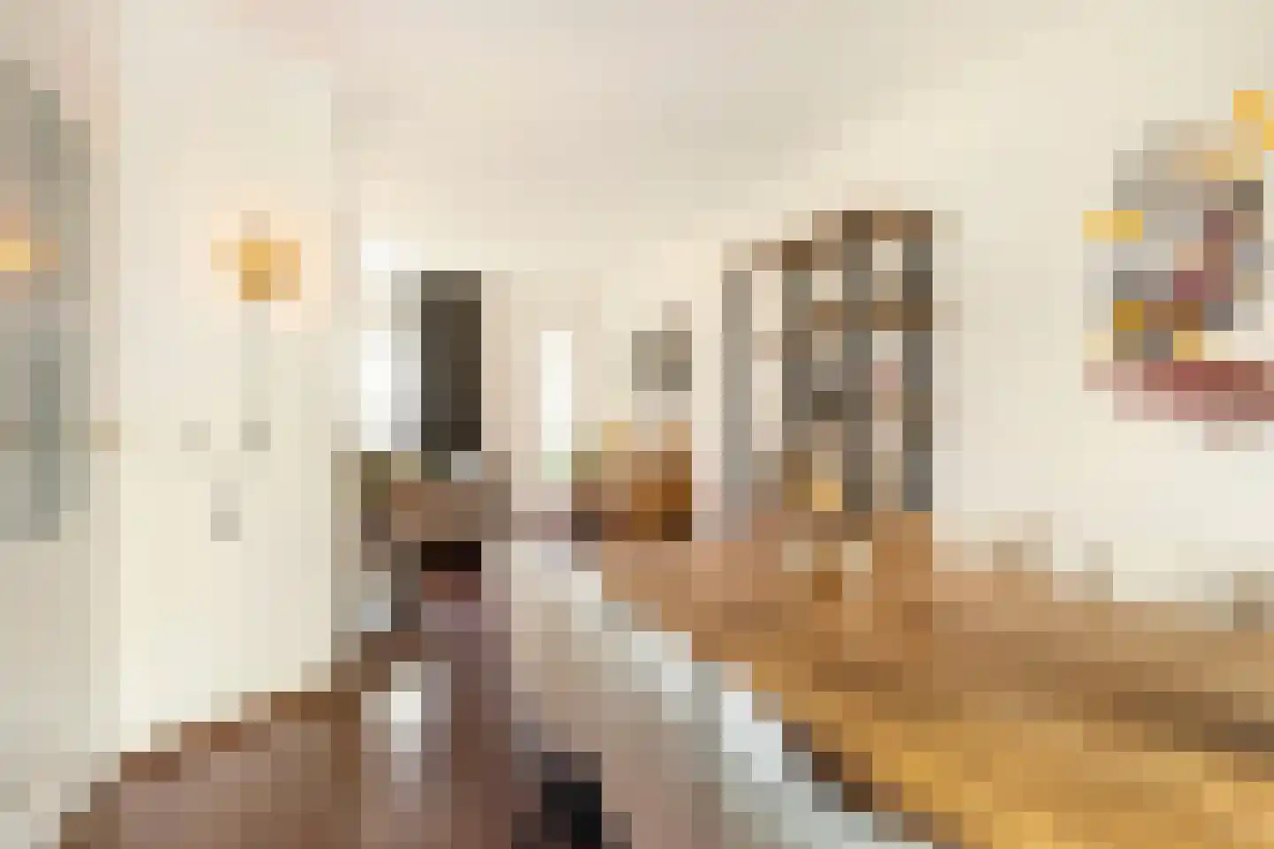 Dissel 10 Veenendaal thumbnail 9