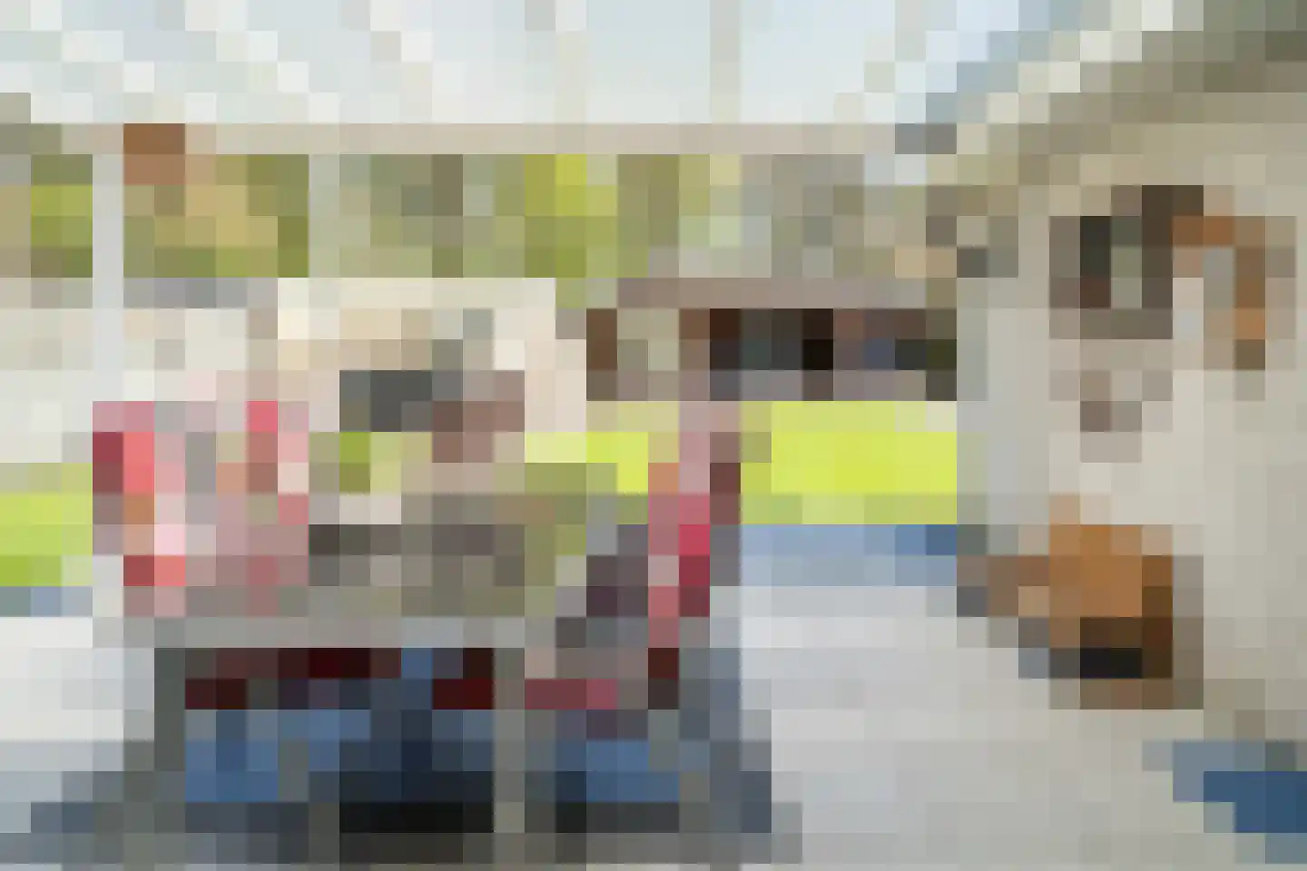 Dissel 113 Maarheeze thumbnail 28