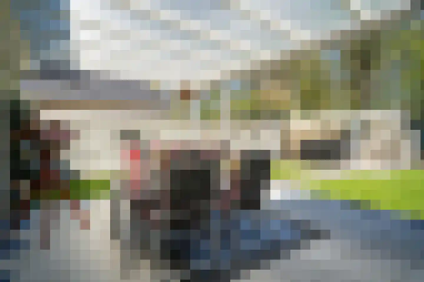 Dissel 113 Maarheeze thumbnail 29