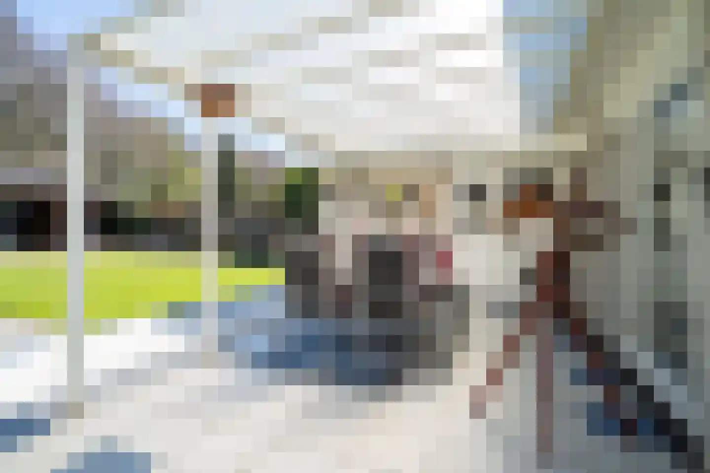 Dissel 113 Maarheeze thumbnail 30