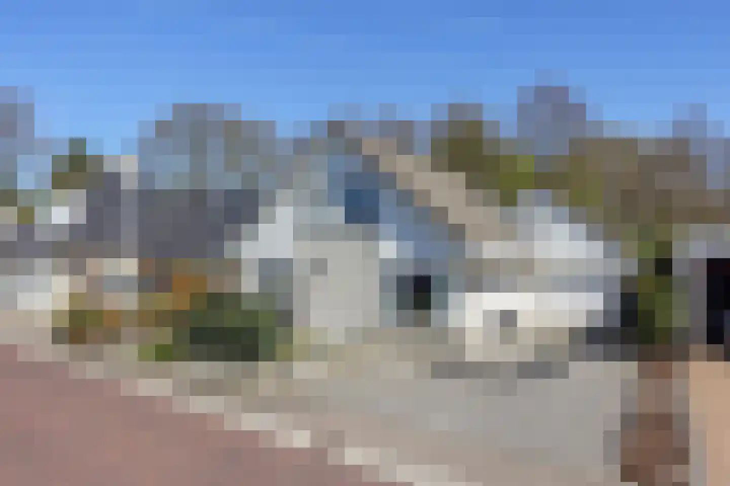 Dissel 113 Maarheeze thumbnail 4